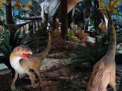 -湖南省地质博物馆