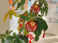 -海之声助听器(上海旗舰中心)