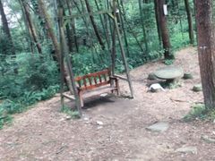 -铁山坪森林公园