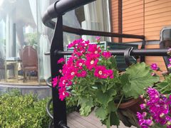 -上海滴水湖皇冠假日酒店