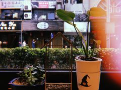 -WIZARD COFFEE咖啡巫师