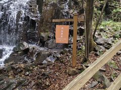 -本溪汤沟绿石谷森林公园