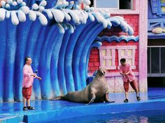 -华夏文旅海洋公园