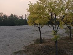 -东郊湿地公园