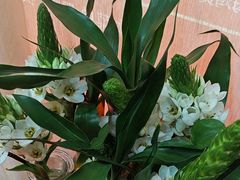 -欣旺·迎宾楼·百年无锡菜