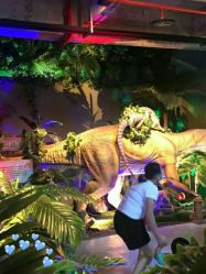 -恐龙探索乐园(磁器口店)