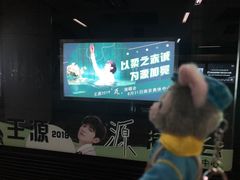-南京奥林匹克体育中心-体育馆