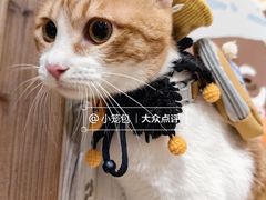 -瑞虹新天地月亮湾