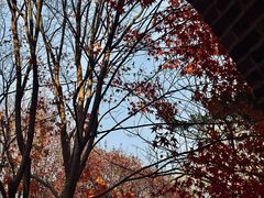 -田野绿世界