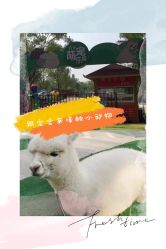 -萌宠亲子动物乐园(槐房万达店)