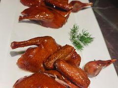 脆皮乳鸽-新荣记(BFC外滩金融中心店)