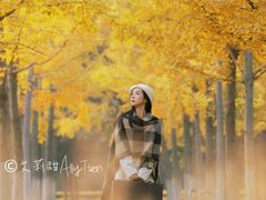 -汉长安城未央宫国家考古遗址公园