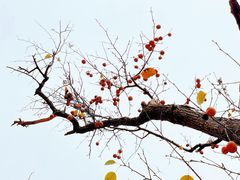 -慕田峪长城