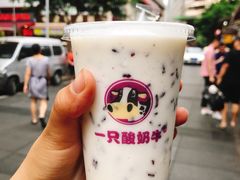-一只酸奶牛(八一路店)