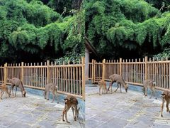 -金沙遗址博物馆