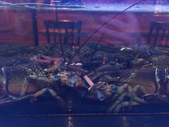 -Burger & Lobster(Dean Street)