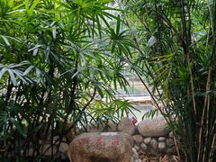 -三江森林温泉度假区