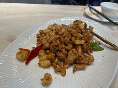 -丁老爷子苏香圆