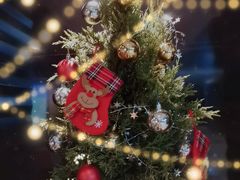 -上海锦江汤臣洲际大酒店壹阶层