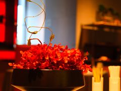 -星·South Beauty·俏江南(国贸店)