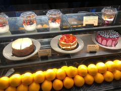 -Wagas沃歌斯(枫蓝国际店)