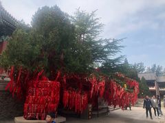 -龙口南山旅游景区