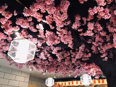 -九田家黑牛烤肉料理·自助(洪洞县城市花园店)
