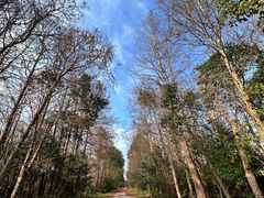 -上海海湾国家森林公园