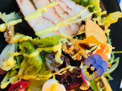 wkate&nbsp;salad&nbsp;威克特沙拉-威克特披萨汉堡