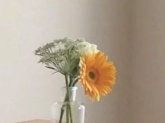 -浅森·龙凤筋SPA·私域调理