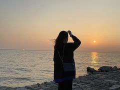 -合肥滨湖国家森林公园