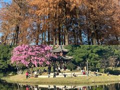 -四海公园(南山区)