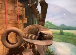 -萌宠亲子动物乐园(槐房万达店)