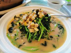 上汤苋菜-东方大厦·就在江南