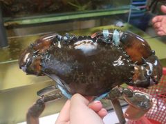 -ZF Seafood Restaurant 卓峰海鲜餐