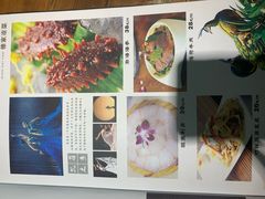 -滇海谣云南斑鱼养生火锅(北戴河旗舰店)