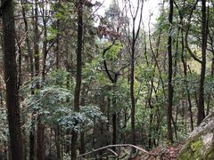 -罗田薄刀峰风景区