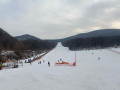 -五家山森林公园滑雪场