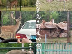 -秦皇岛野生动物园