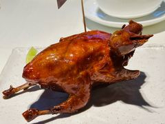 非遗红烧乳鸽-侨美·唐荔园·40年地道粤菜