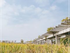 -嘉北郊野公园