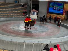 -石家庄市动物园