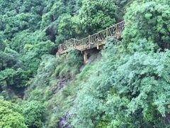 -永泰中国云顶