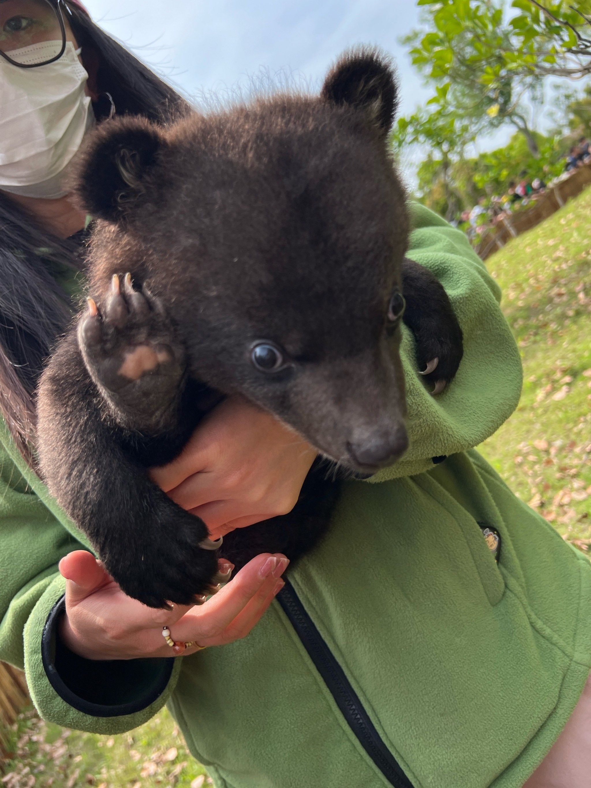 南通野生动物园小熊宝宝好可爱🍼