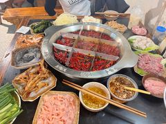 -大龙火锅(老店)