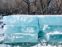 -长春市南湖公园