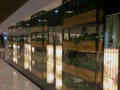 门面-潮堂(环球金融中心店)