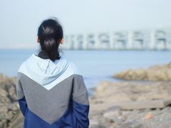 -星海湾跨海大桥