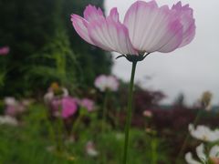 -汇泉广场