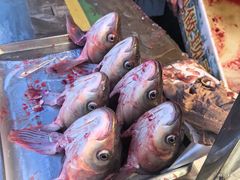 -正宗上海陆记熏鱼